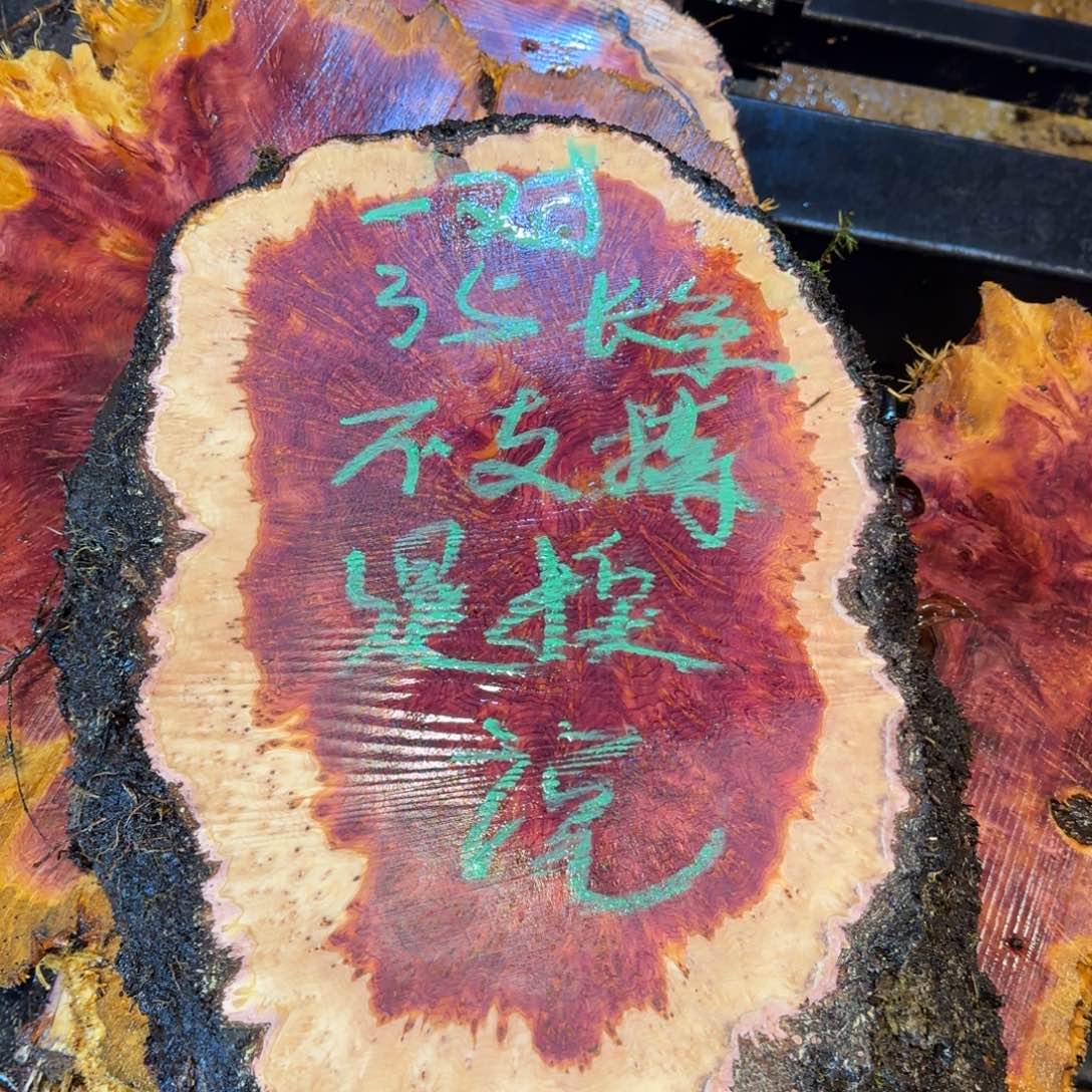 木紫罗兰树瘤定制切唢呐料（切开不支持退换）