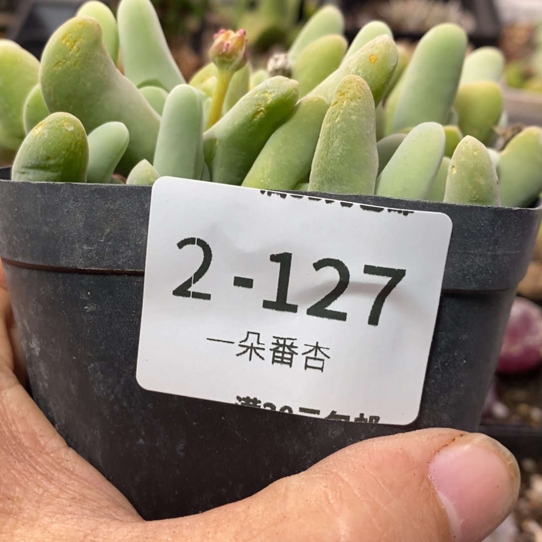 25868999998999898898