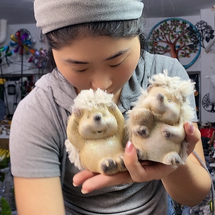 树脂n x n x b x b x z b