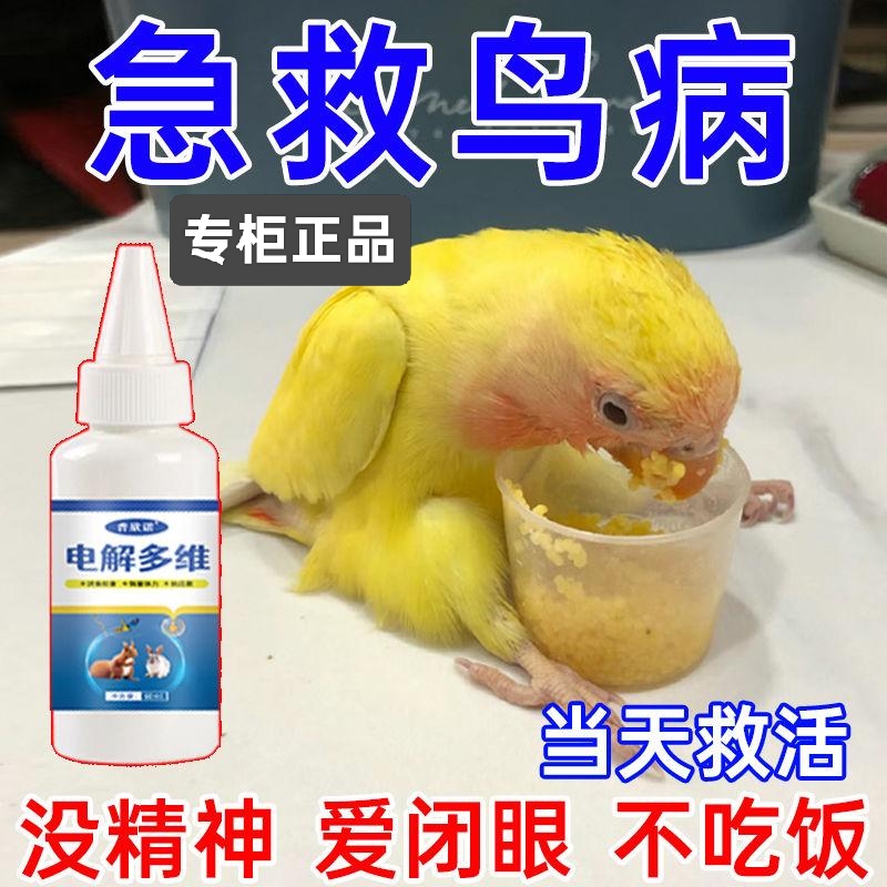 鸟用电解多维维生素解决鹦鹉生病应激没精神爱闭眼不吃喝鸟类专用