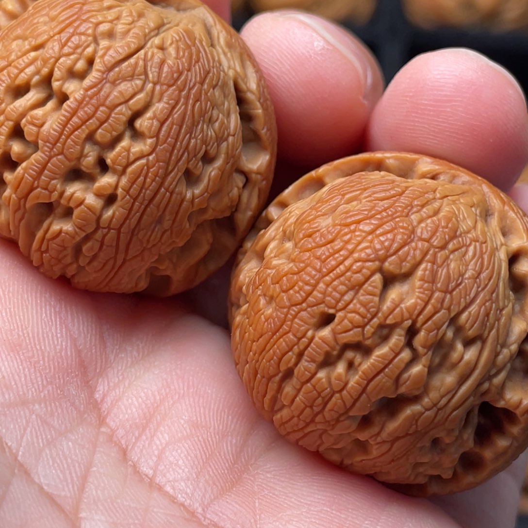 文玩核桃把件36尺寸龙珠