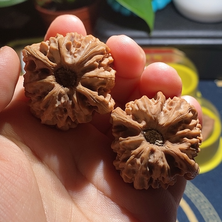 【闪购商品】吊坠文玩核桃龙门涧