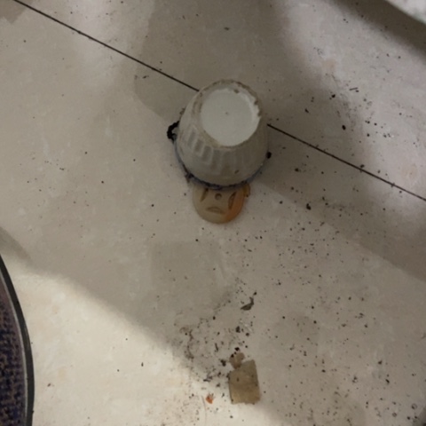 振**安z c z c z c x c