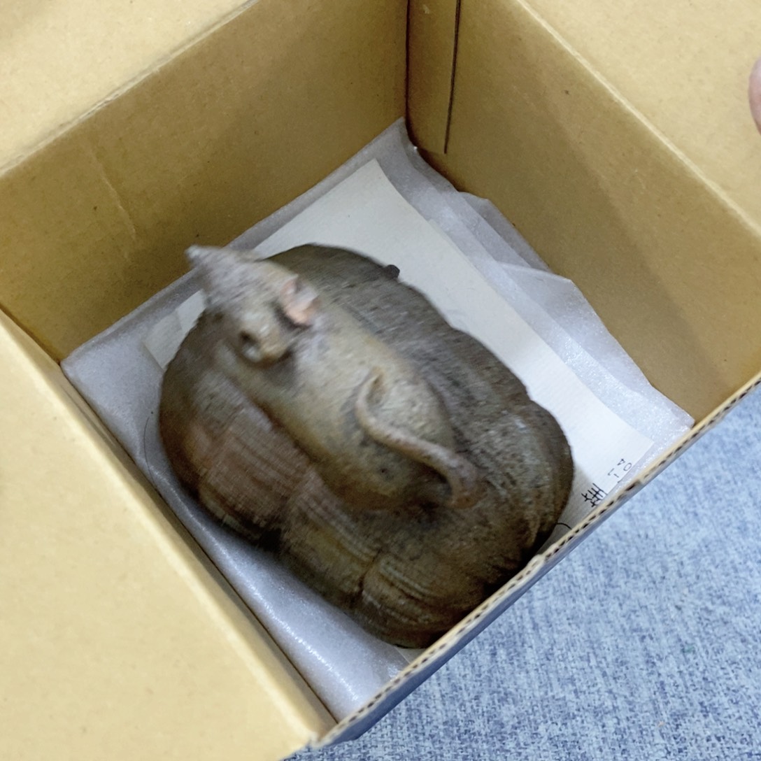 紫砂茶杯非常满意好看得物件