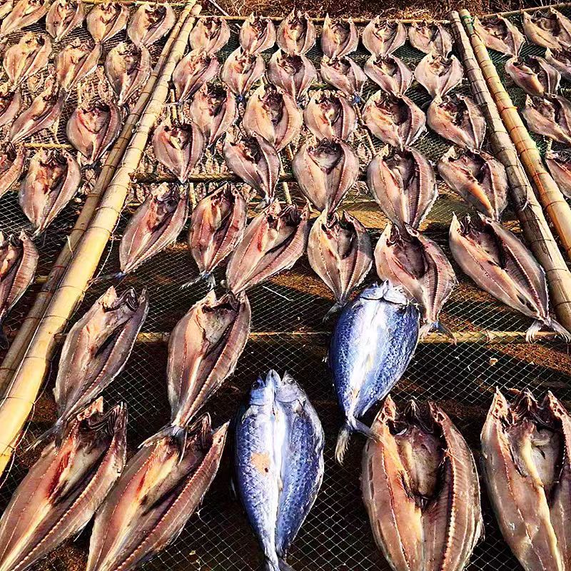 山东青岛特产咸鲅鱼干货燕淡晒年货马鲛胶鱼干海风干