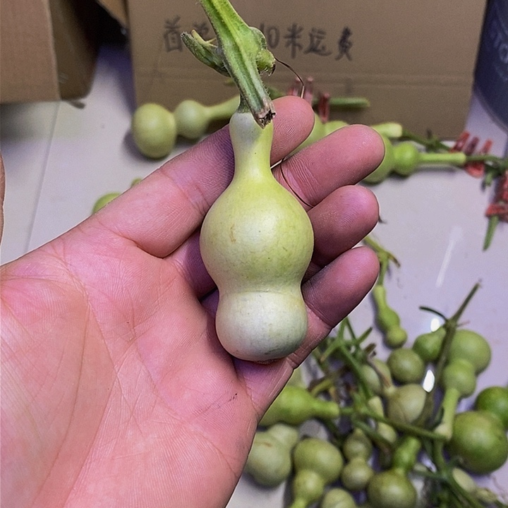 宇**物长嘴哈哈哈哈哈哈哈哈哈哈