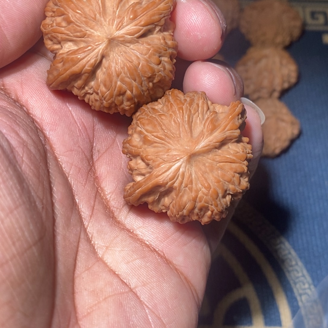 吊坠文玩核桃41尺寸全品无修磨盘