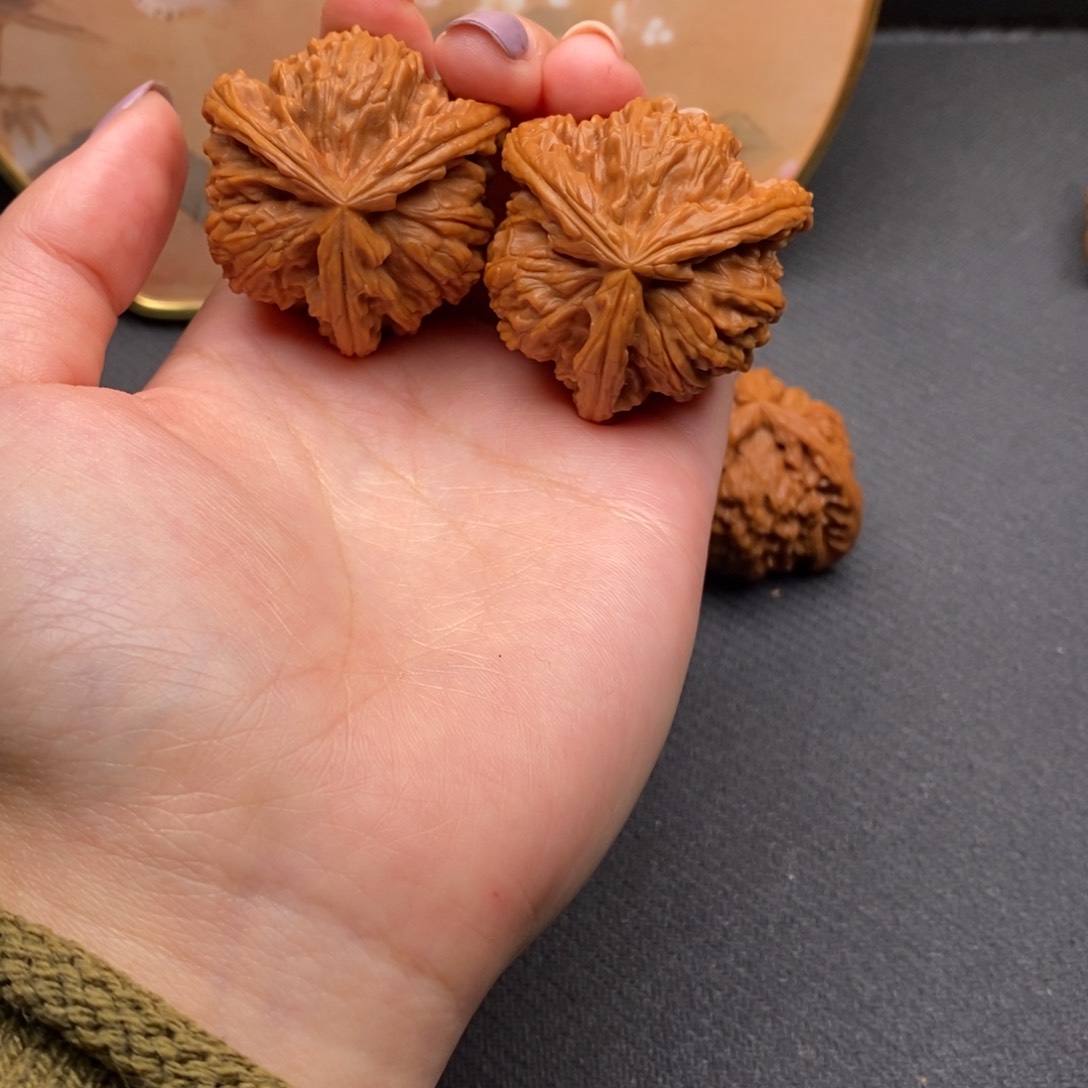 O*.白狮子11111111111