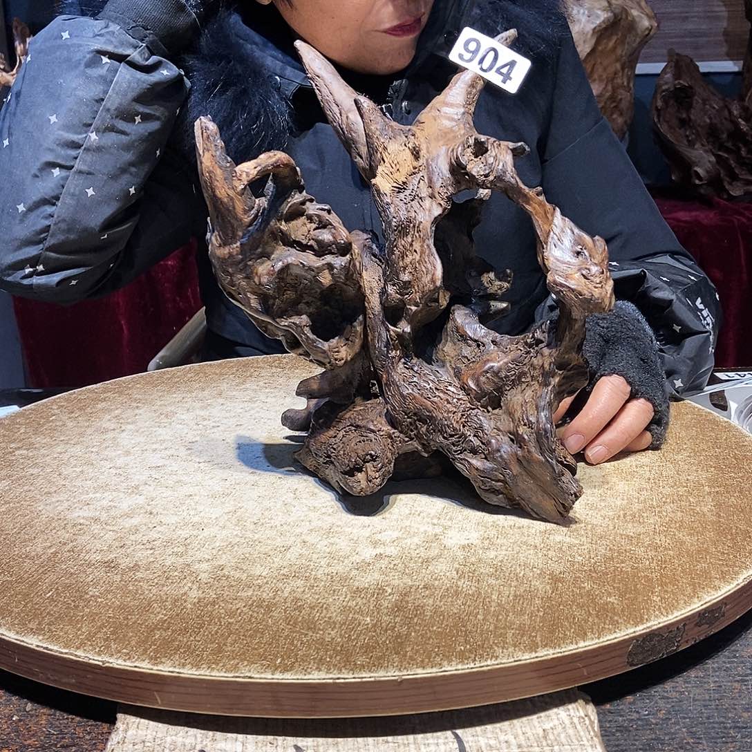 高***山904。株木随行根艺