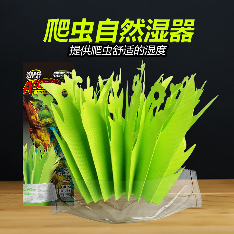 【胖墩墩】绿色加湿器陆龟爬箱气化保湿植物不插电造景加湿草