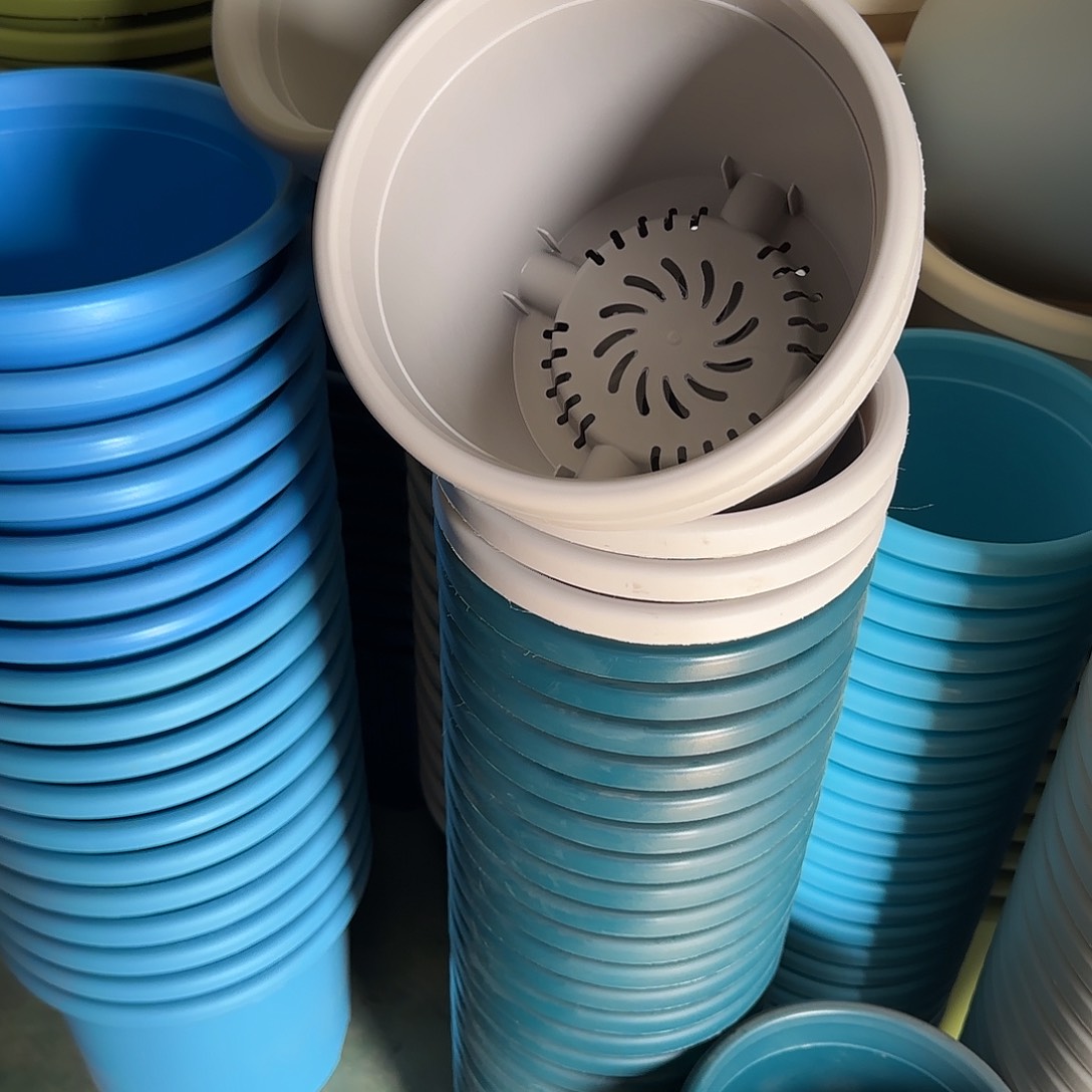 树脂四季3号无托10个灰白微瑕