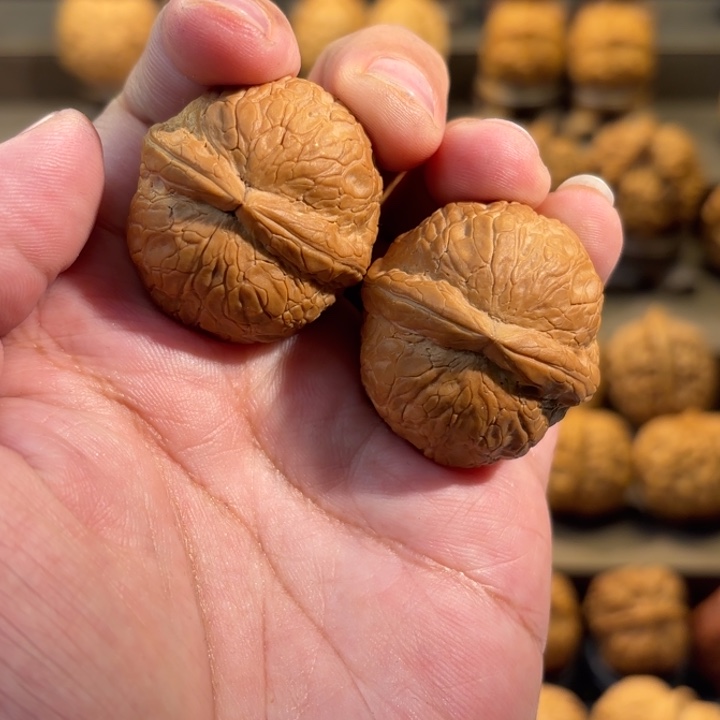 文玩核桃把件禅*金丹