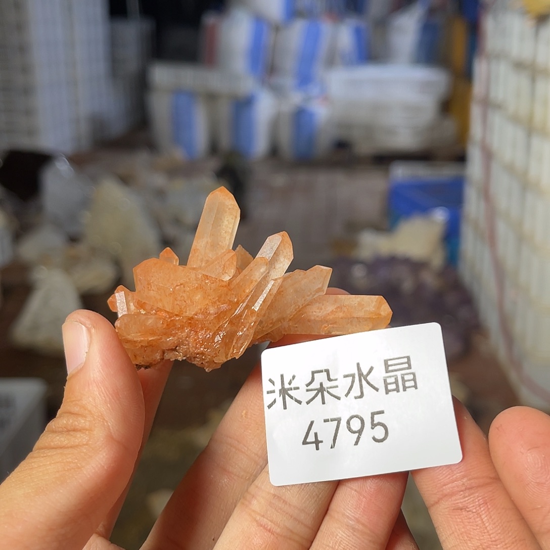 小***咪未镶嵌水晶珠宝半成品