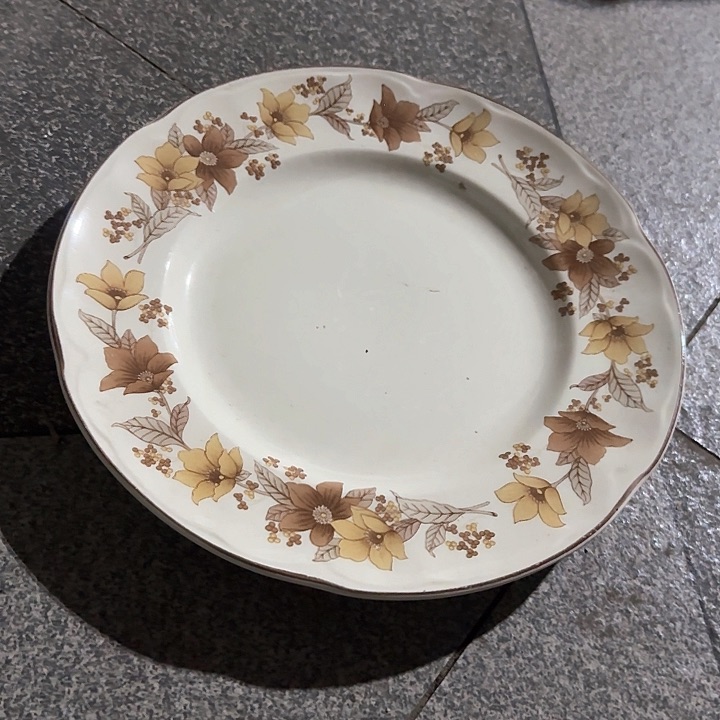 瓷片陶瓷盘子碗啥都有口径26公分