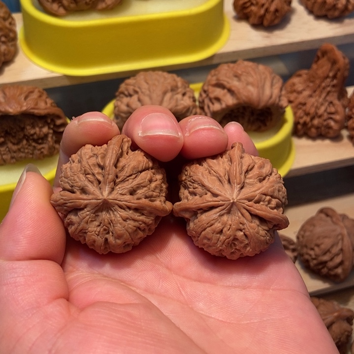 官方网站发布消息显示