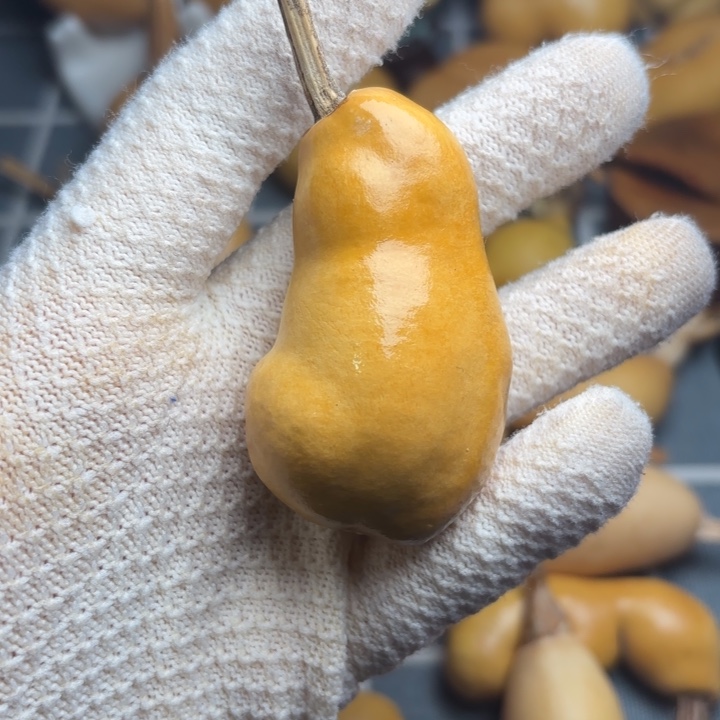 随***56666666666666666666