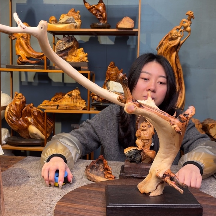 柏木（崖柏）关注一下