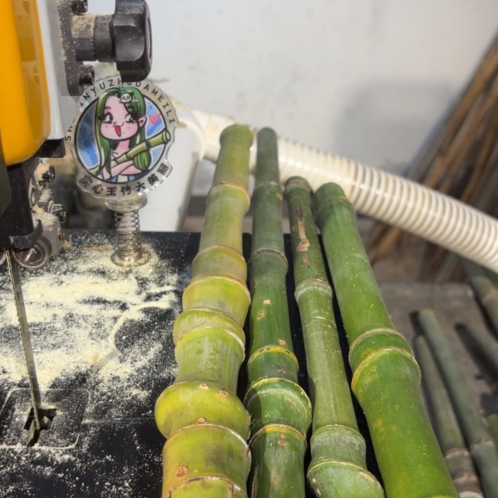 痛***快实心竹竹竹竹竹竹竹竹