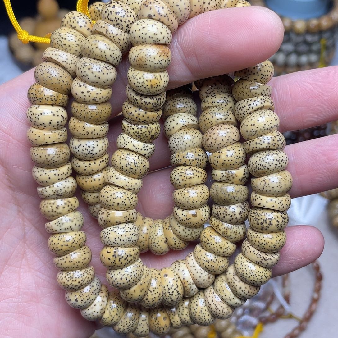 钦****星月菩提吊坠12尺寸，陈籽大肠，带备籽