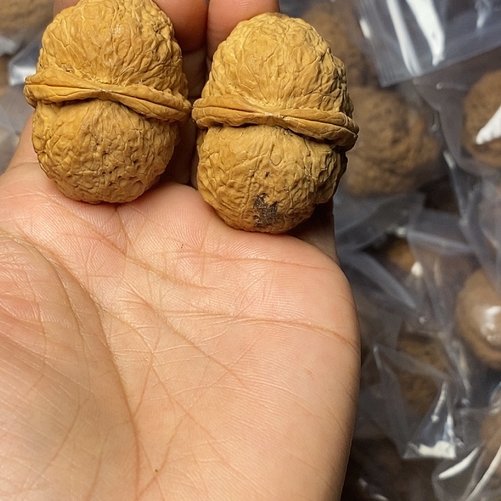 文玩核桃把件云南铁核桃23