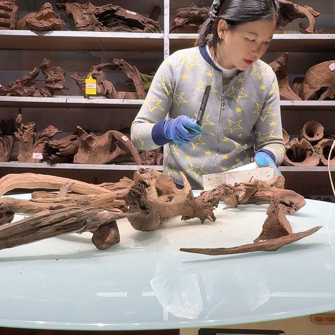 鑫品沉木不包损必褪色₅****水6704紫柚枝条