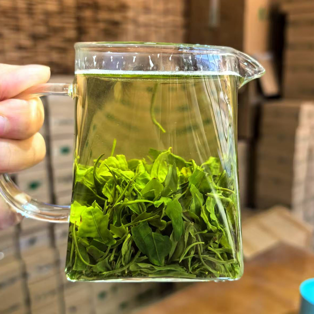 直播间专属买半斤送半斤恩施高山云雾茶手工炒青茶