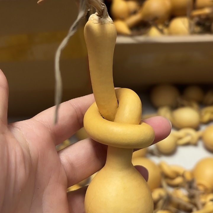 樱****一把葫芦便宜漏了