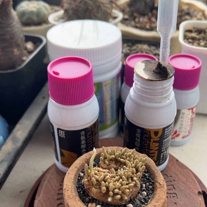 腐植酸+氨基酸+韧锦