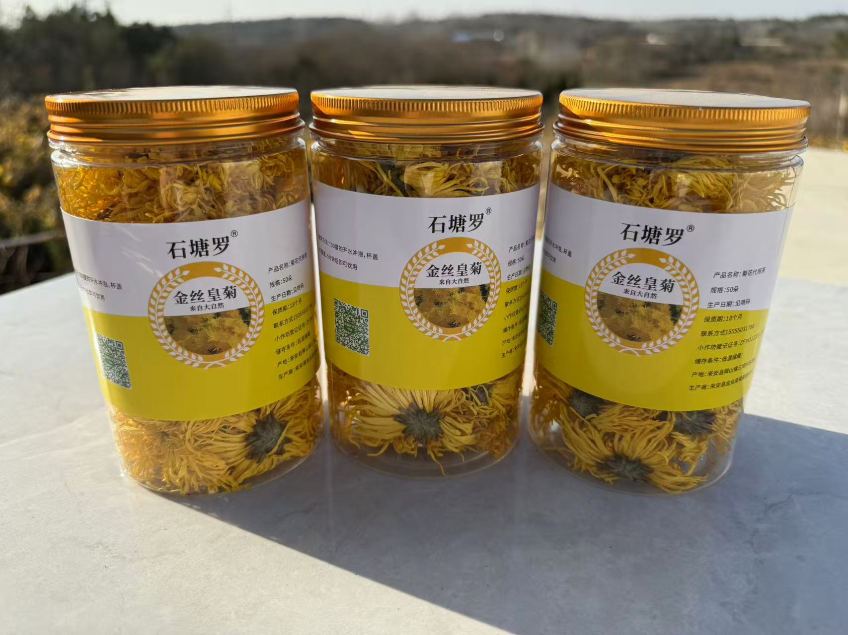 【三罐装】精品罐装金丝皇菊