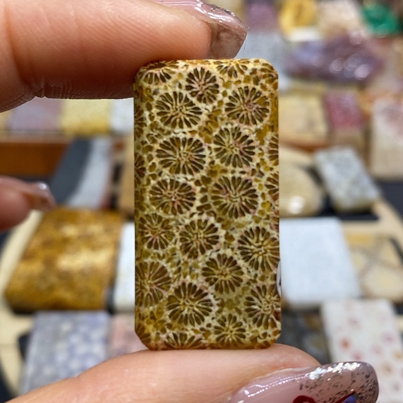 【闪购商品】硅化珊瑚（珊瑚玉）颈饰未镶嵌K40