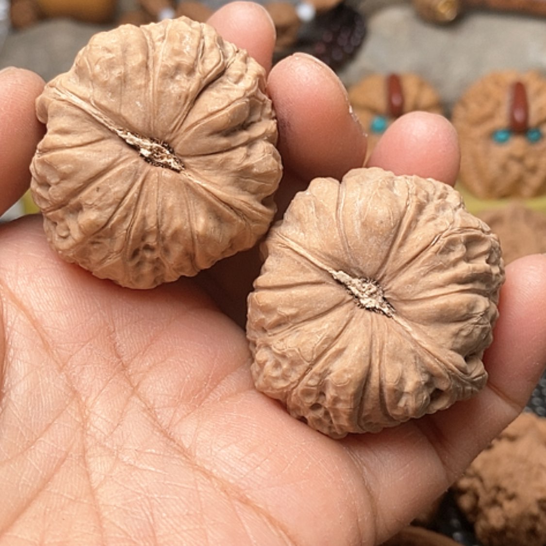 【闪购商品】文玩核桃把件40全品南瓜练手对