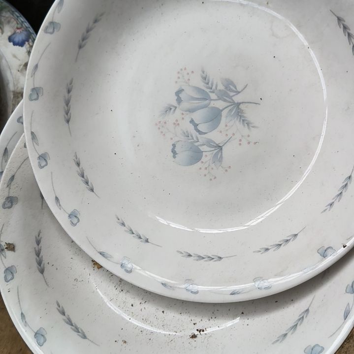 8寸深盘两个！！！！！！！