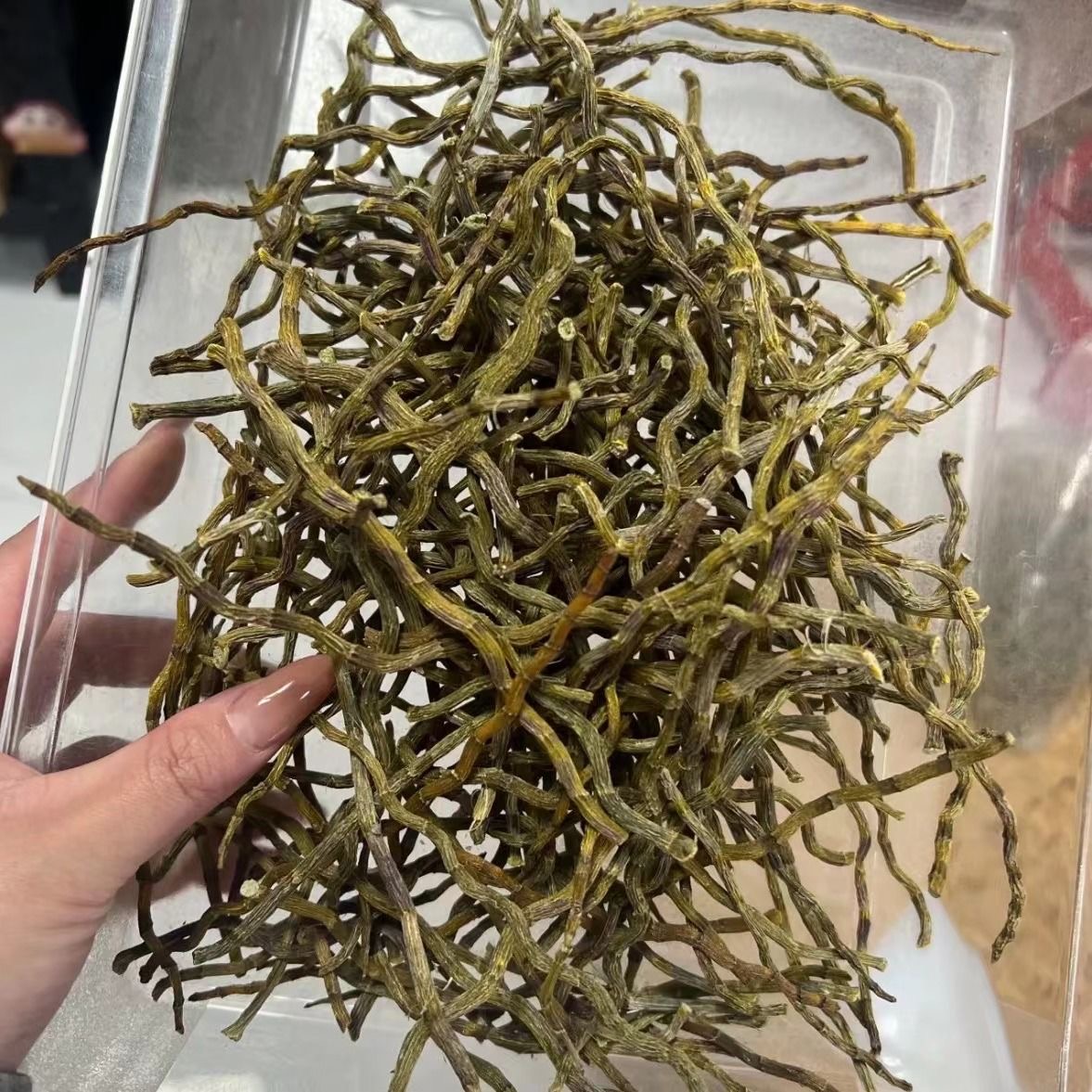 石斛正宗云南铁皮石斛干条寸条牙条晒干林下自然生长足干条正品