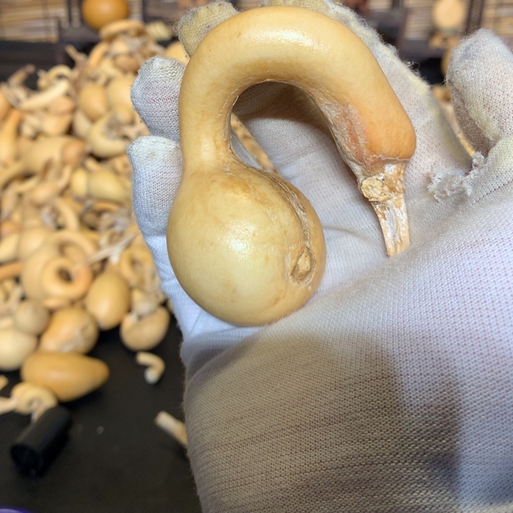 梨等经济林食物及营养元素