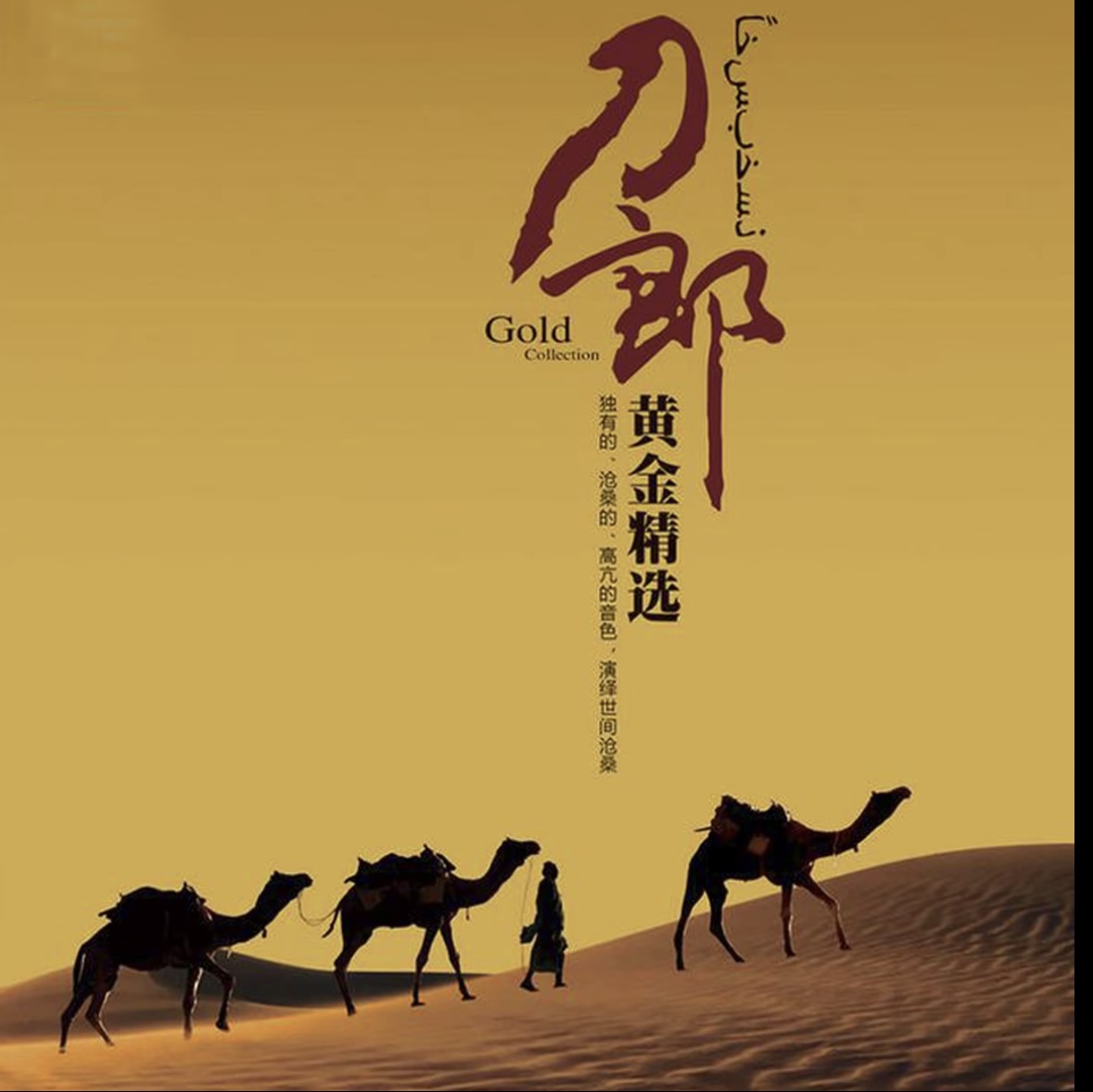 刘德华专辑新歌曲+精选汽车载cd碟片流行无损音乐光盘老车通用2CD