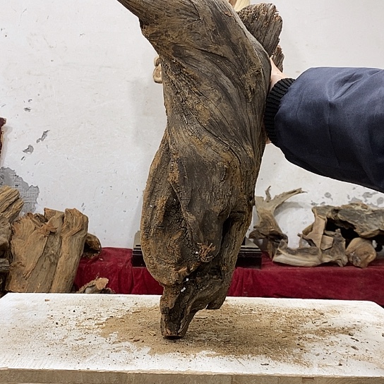 缘***艺柏木我们都是好孩子