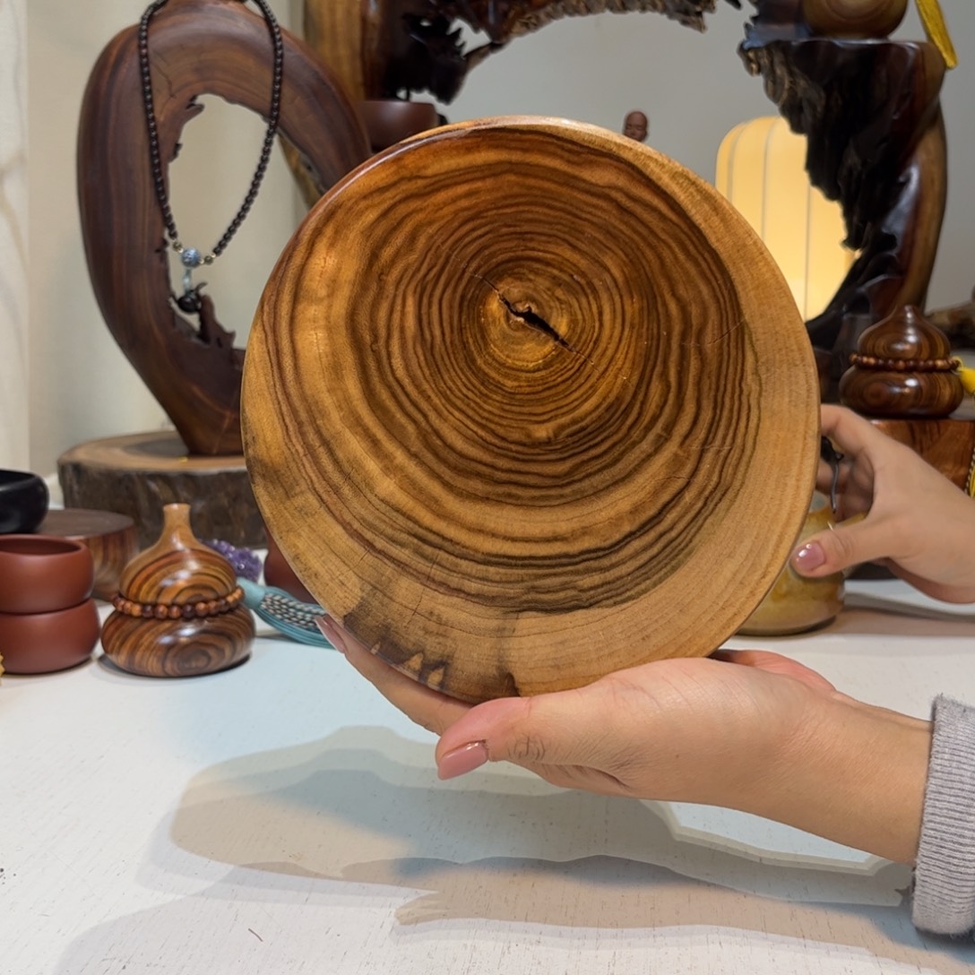 武***厂香樟木躲躲多少人