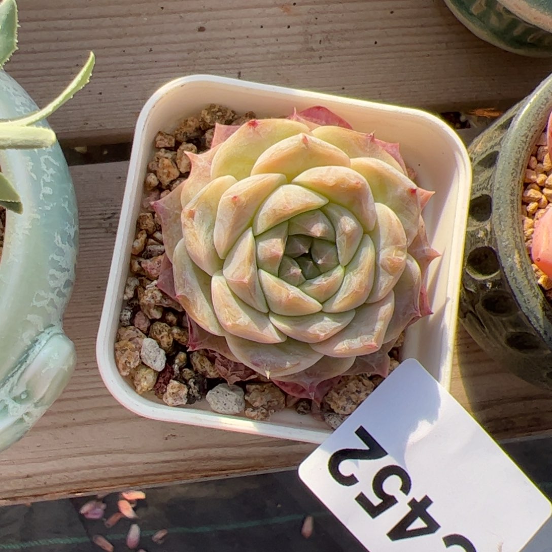 *****452 满38包邮一物一拍