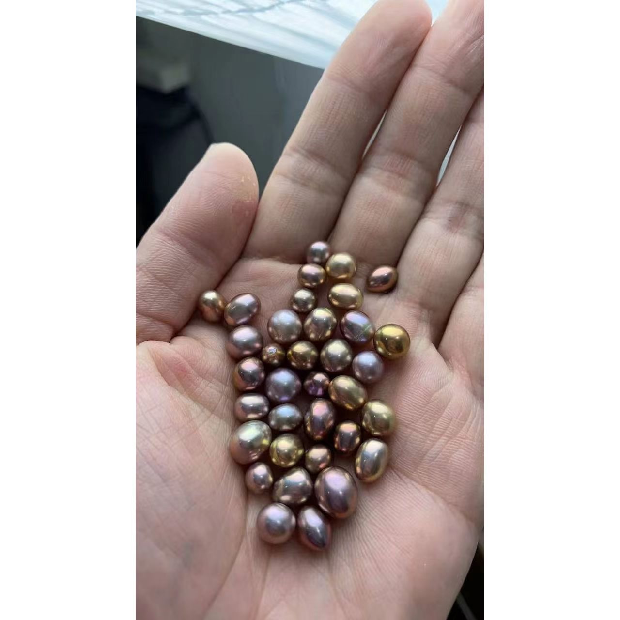 福利多珠蚌两个（活体不退换）（可DIY定制成品配饰工具）可DIY定制