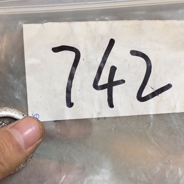 見***命最美古村专属链接