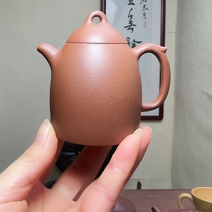 紫砂茶壶宜兴紫砂工艺