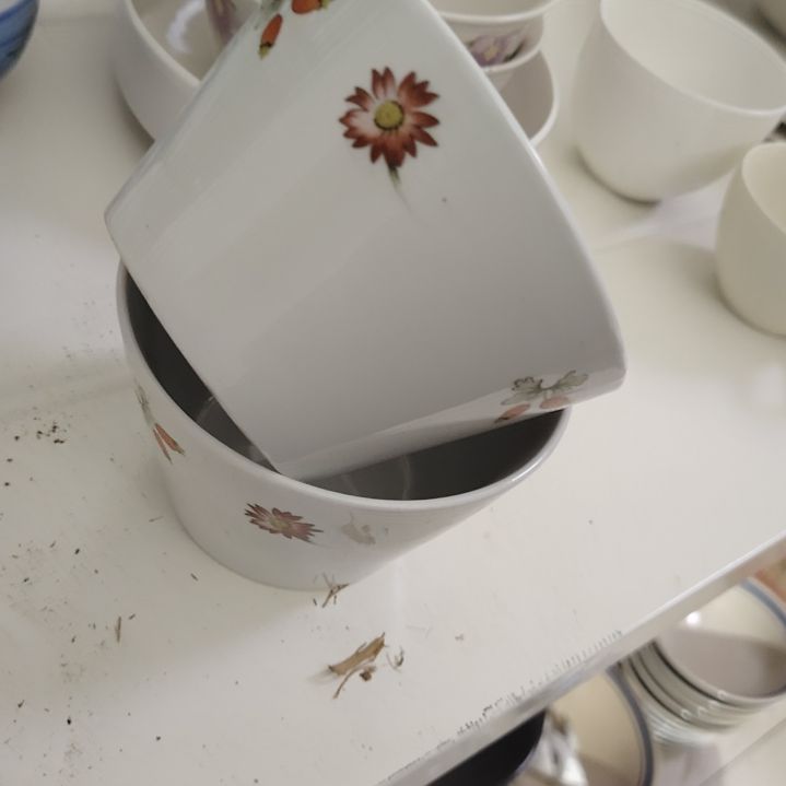 盘如*陶瓷盘子碗啥都有