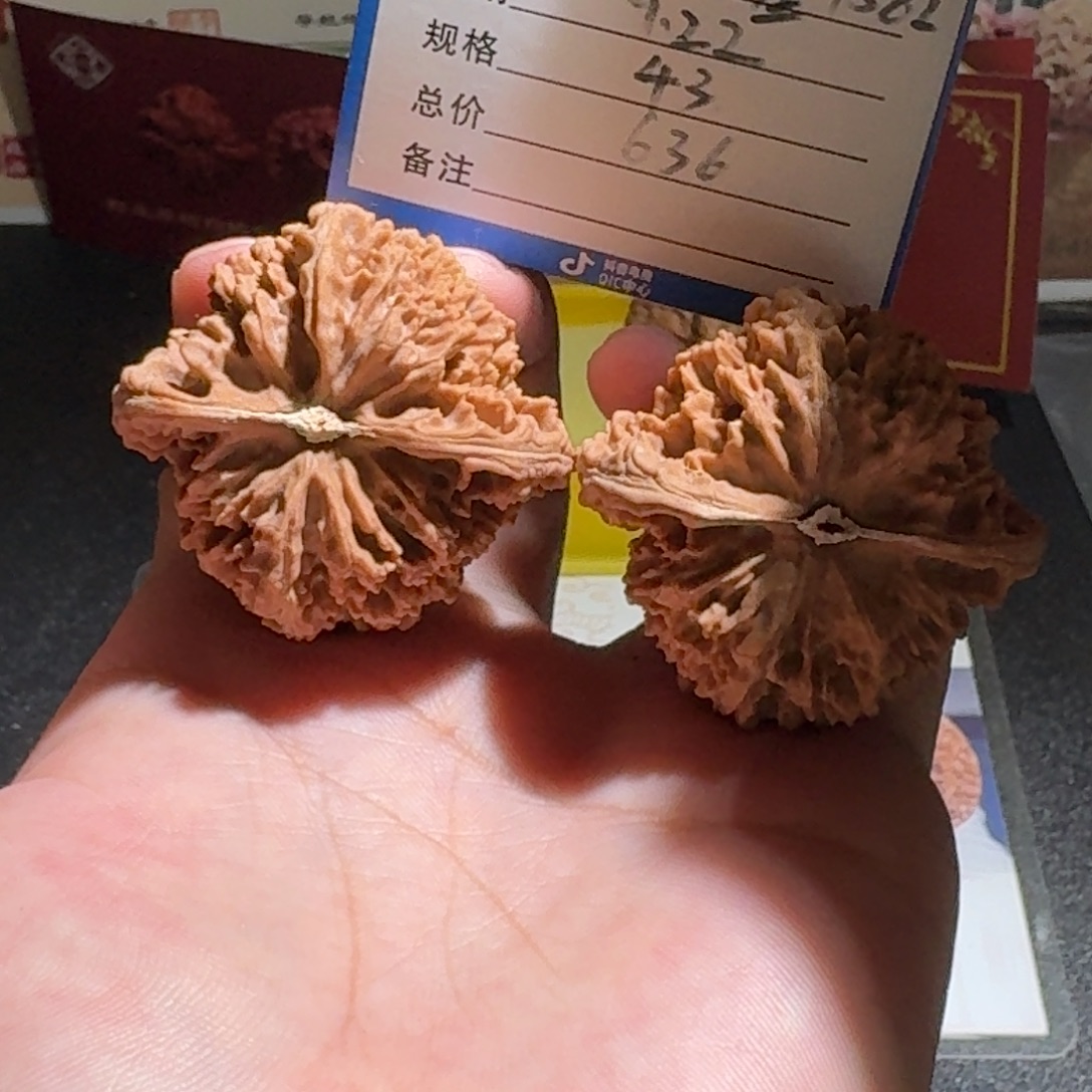L***J满天星编号1582全品