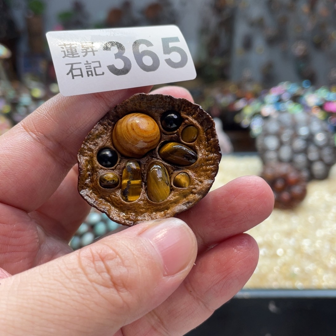 核桃木/黑胡桃（胡桃木）365