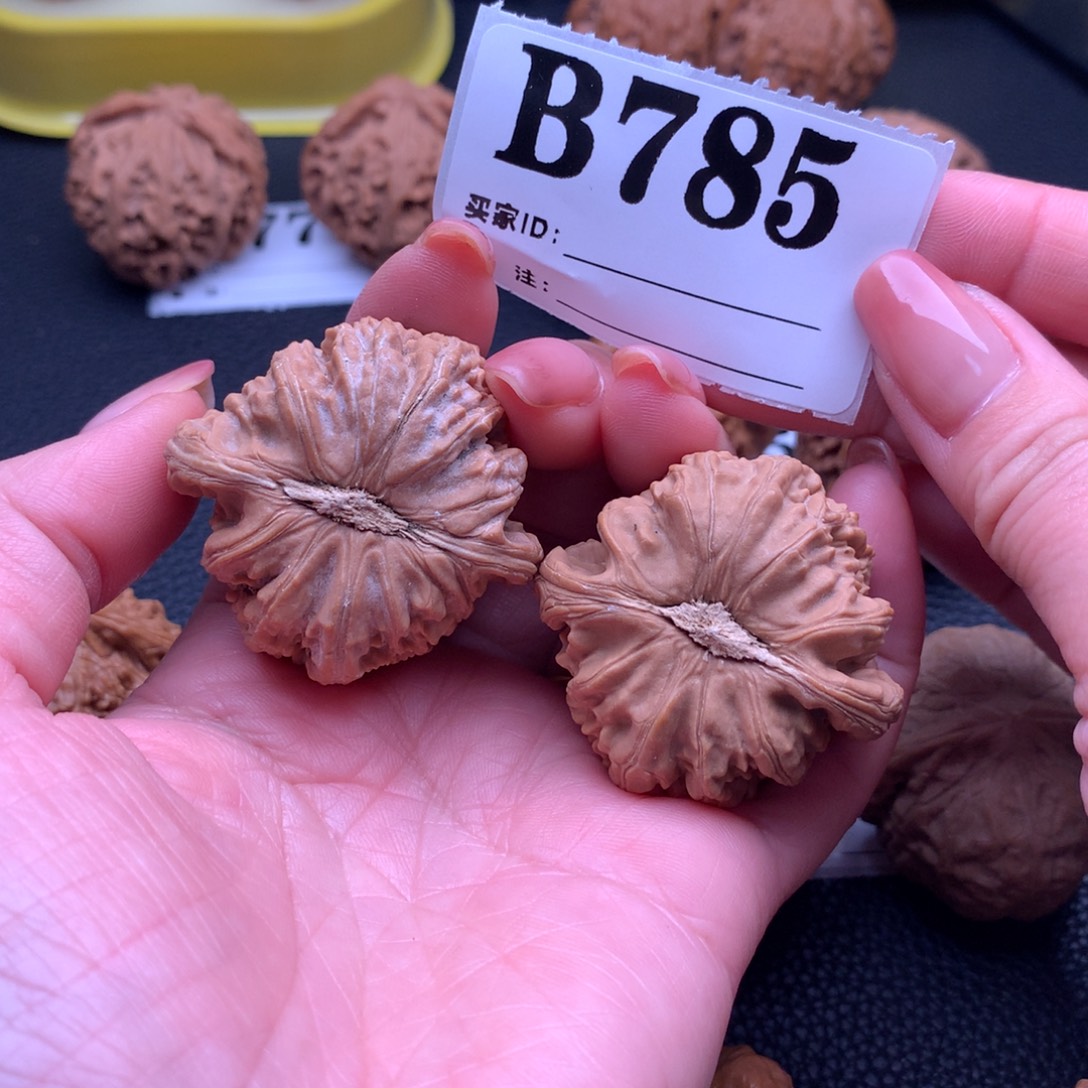 核桃白狮785链接41尺全