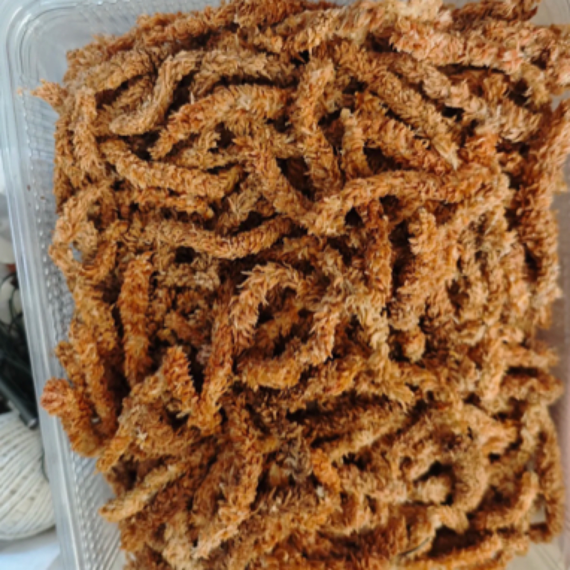 进口水台毛毛虫七星级兰厂都在用