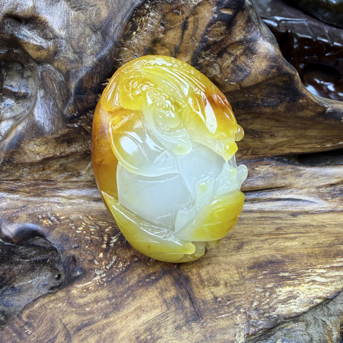 新疆和田玉，113克，独占鳌头