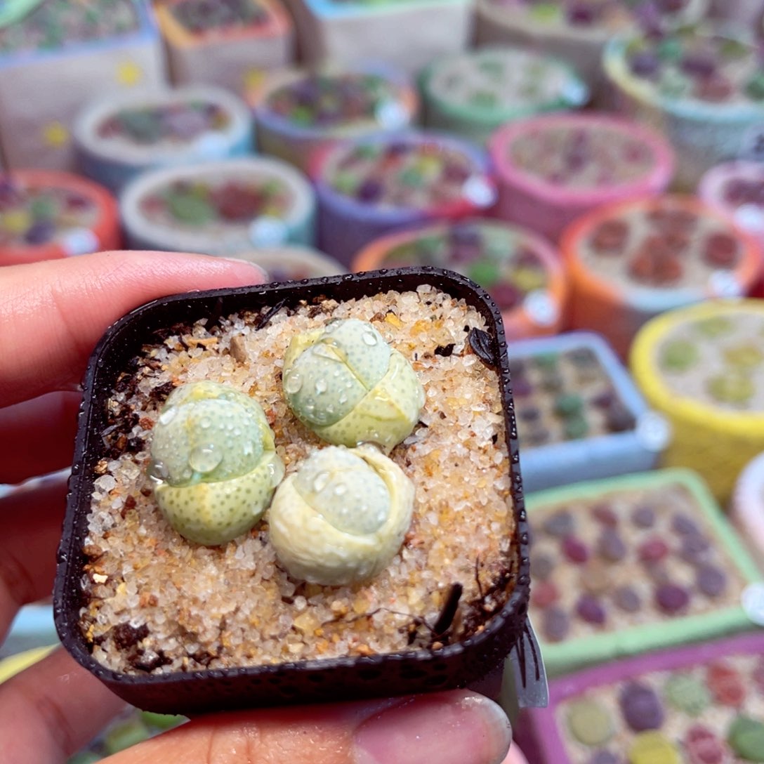 204。88888888888888888