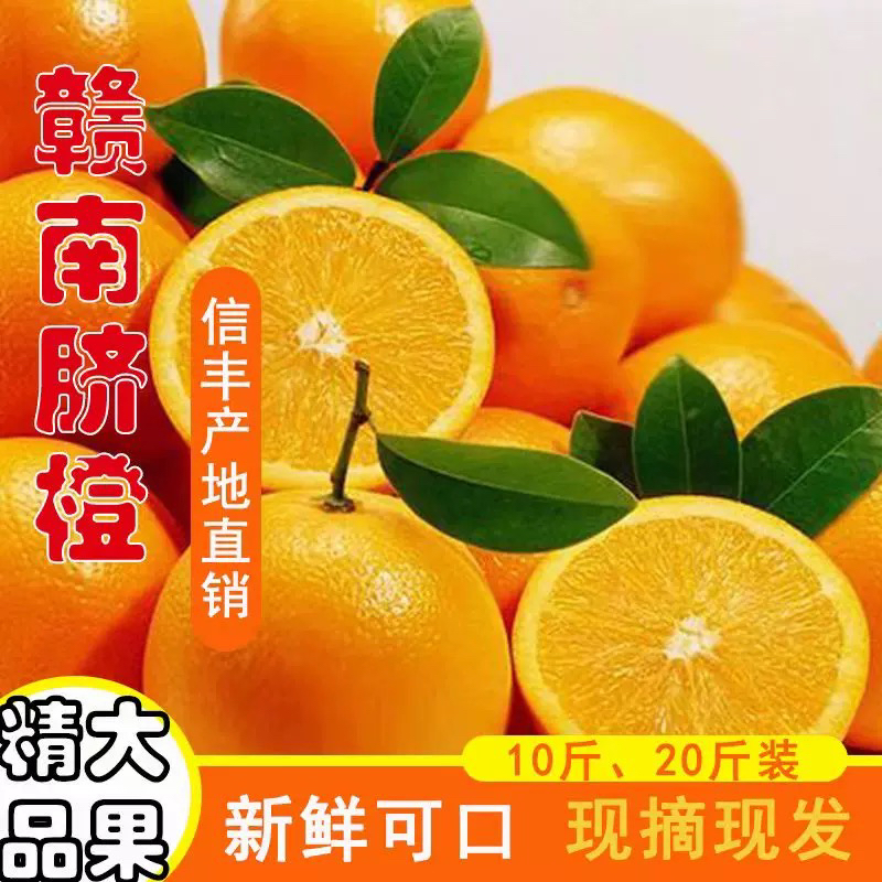 正宗江西赣南脐橙新鲜水果现摘现发农家甜橙子产地直发