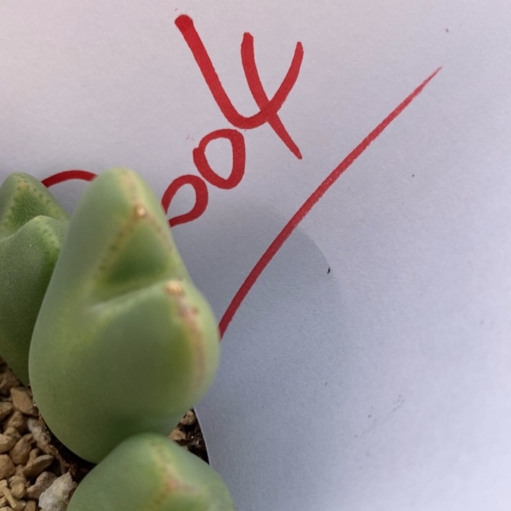 3004一个一个一个